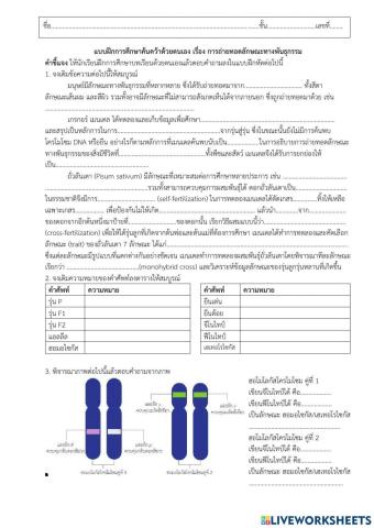 การถ่ายทอดลักษณะทางพันธุกรรม