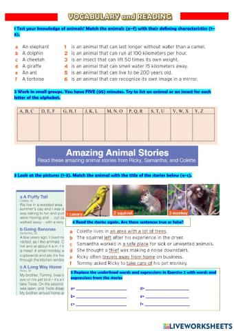 Amazing animals stories