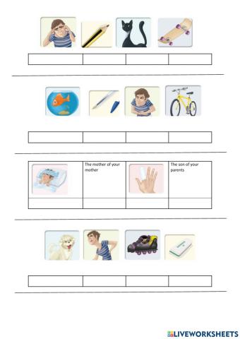 Happy families vocabulary