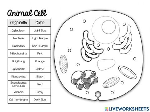 Cell Coloring 