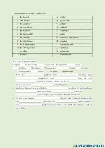 Fachgeschäfte - Ung-Deutsch