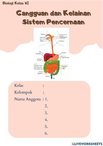 Gangguan dan Kelainan Sistem Pencernaan