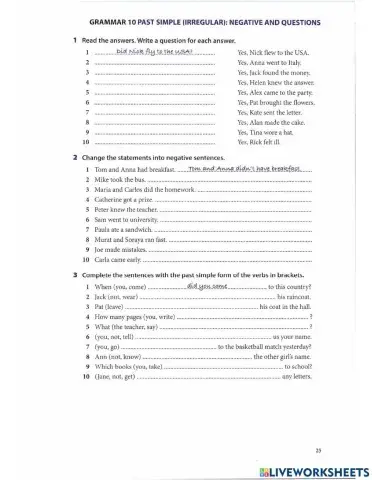 Past simple negative and questions