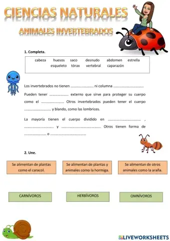 Animales invertebrados