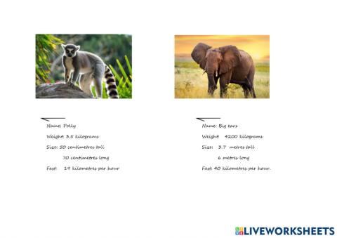 Reading comprehension 6th grade comparative