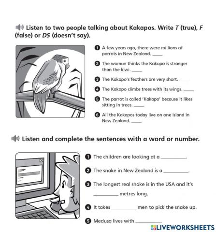 New tiger enhanced 6 Unit 2 listenings