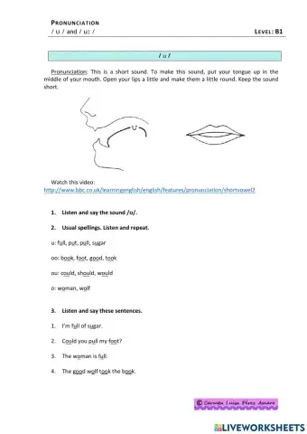 Pronunciation of -u- sounds