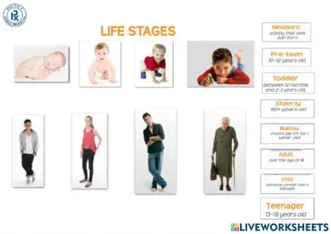 Life stages