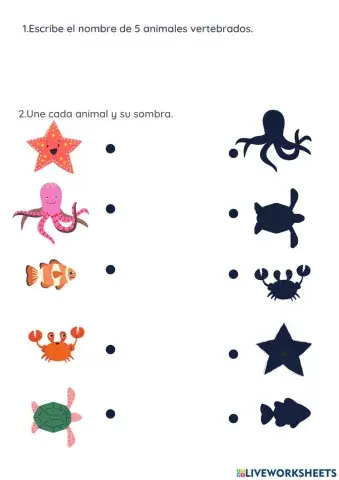 Conocimiento del medio