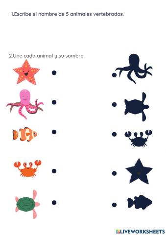 Conocimiento del medio