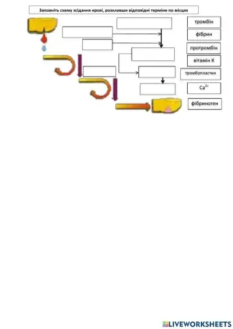 Зсідання крові