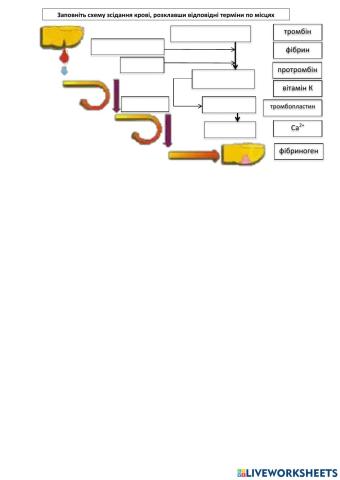 Зсідання крові