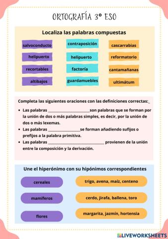 Ortografía 3º ESO