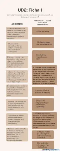 Principio de la acción preventiva