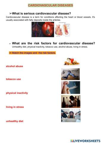 Cardiovascular diseases