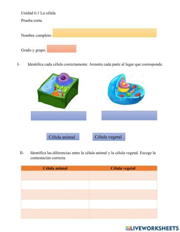 La celula animal y la célula vegetal
