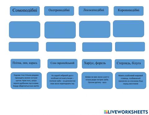 Різноманітність риб