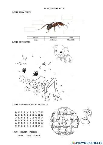 Lesson 9. the ants