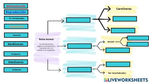 Clasificación del reino animal
