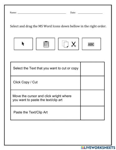 Microsoft Word Activity