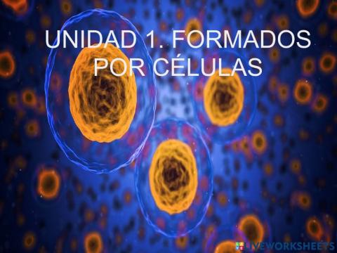 La célula - Parte 2