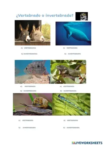 ¿VERTEBRADOS O INVERTEBRADOS?
