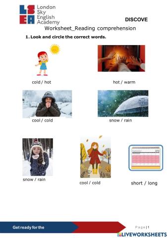 Reading comprehension WS