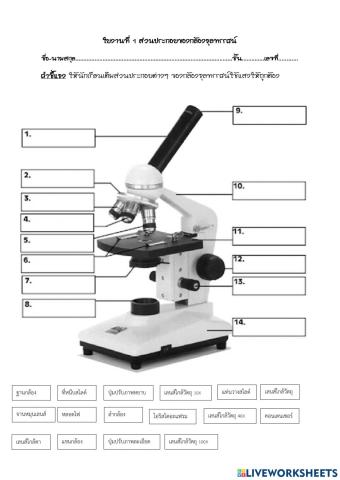 ใบงานที่ 1 ส่วนประกอบของกล้องจุลทรรศน์