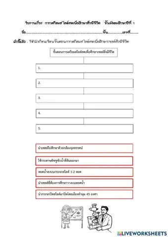 ใบงานที่ 2