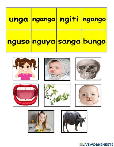Ngangengingongu