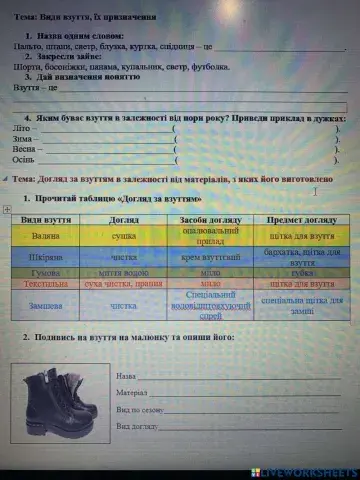 Взуття. Догляд за взуттям