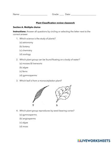 Classification of Plants Review