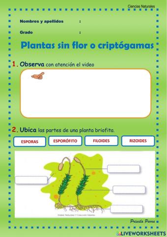 Proyecto 10 Ciencias Naturales