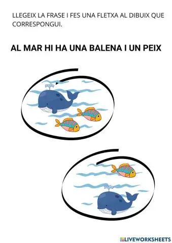 Relaciona frase amb dibuix