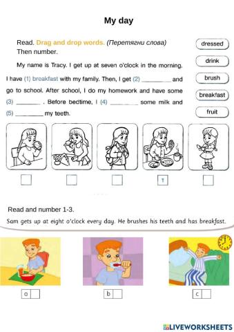 Smart Junior 3 Workbook My day