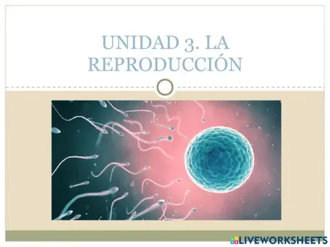 La reproducción Parte 3