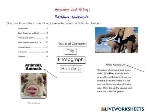 Homework Week 11 Day 1