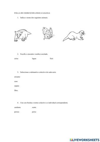 Ficha exercicios galego