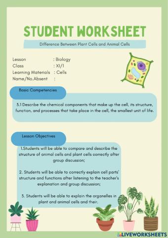 Difference Between Plant Cells and Animal Cells