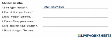 Bitte schreiben Sie die Sätze.