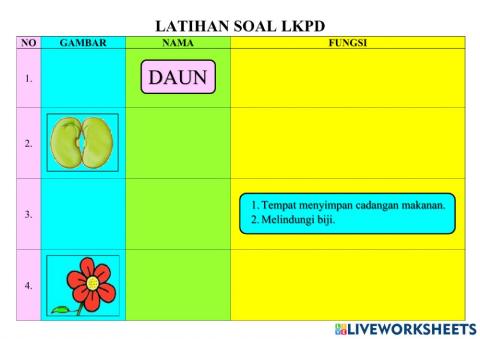 Bagian tubuh tumbuhan