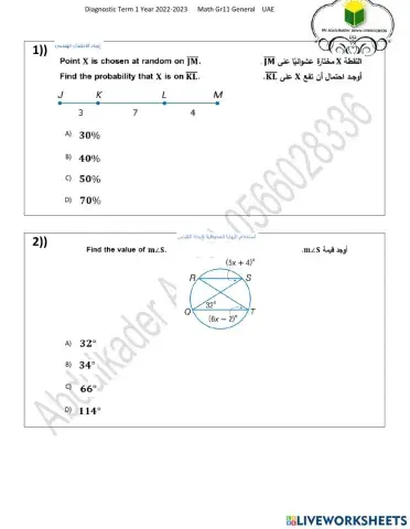 Diagnostic Math Gr11 General