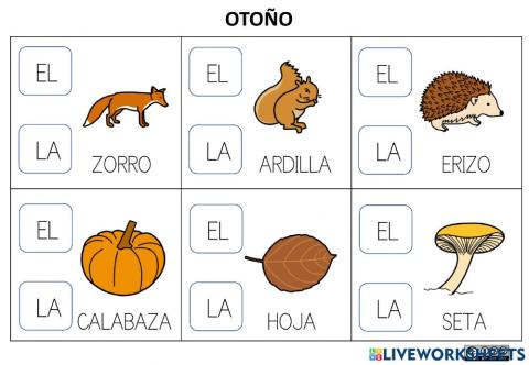 Artículos determinados. Otoño