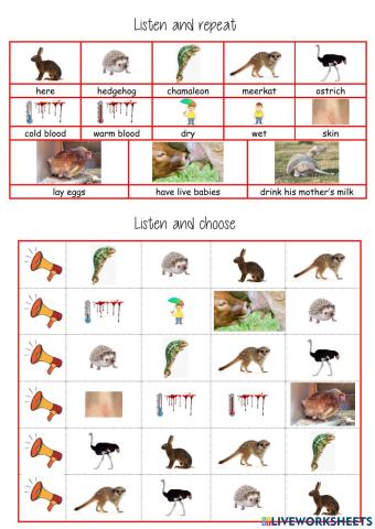 listen and choose extra vocab unit 2 tiger 3