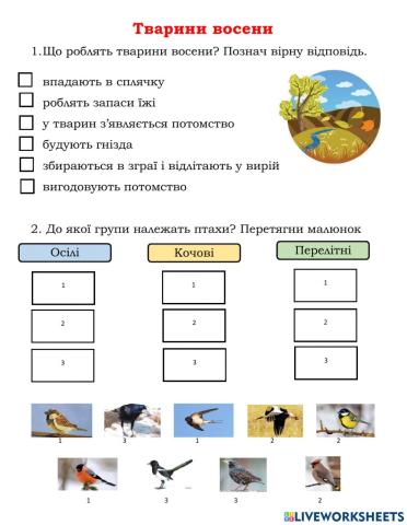 Клапощук Ольга Миколаївна