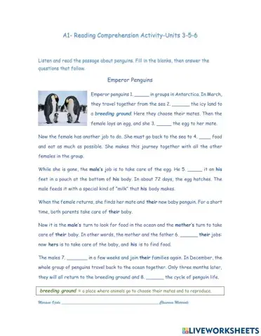 A1- Reading Comprehension Activity-Units 3-5-6