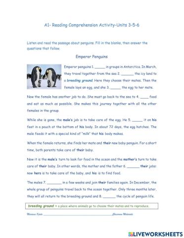 A1- Reading Comprehension Activity-Units 3-5-6