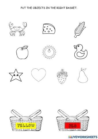 Match the objects with the right baskets