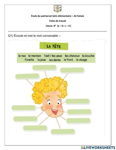 Les parties de la tête