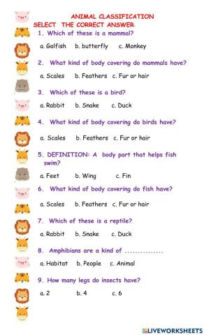 Animal classification